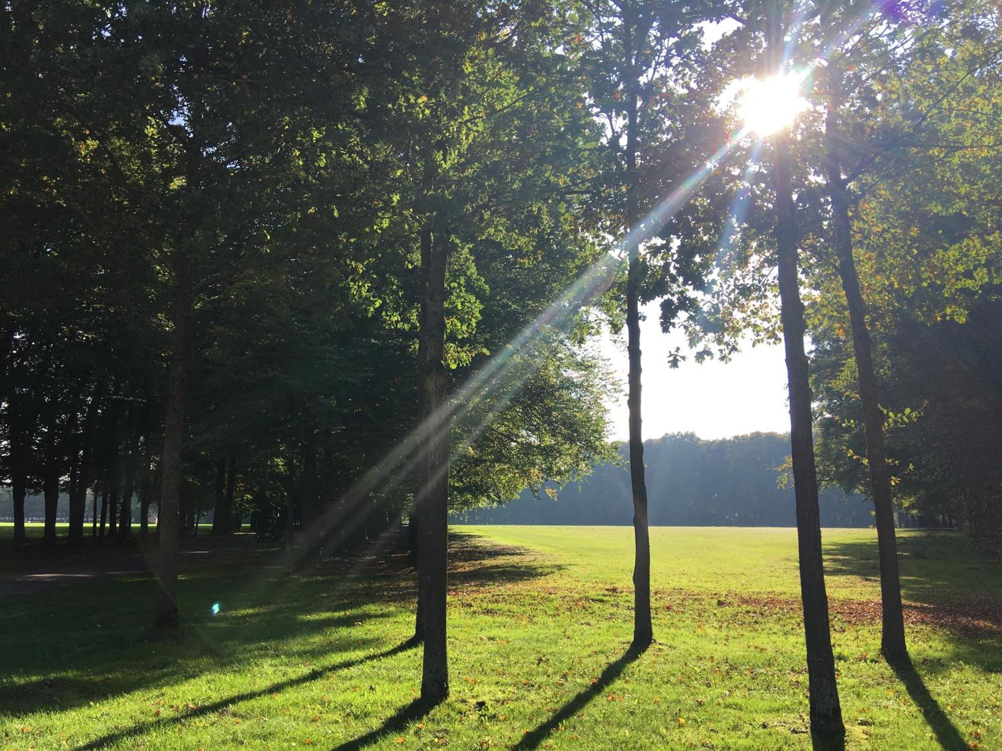De Slaapfabriek Vakantiehuis En Trainingslocatie Teuge エクステリア 写真