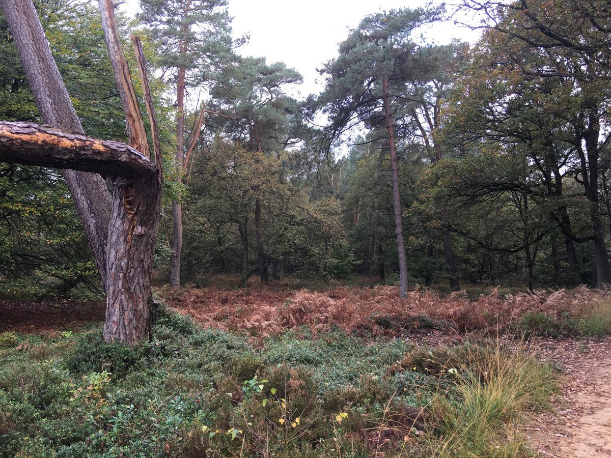 De Slaapfabriek Vakantiehuis En Trainingslocatie Teuge エクステリア 写真