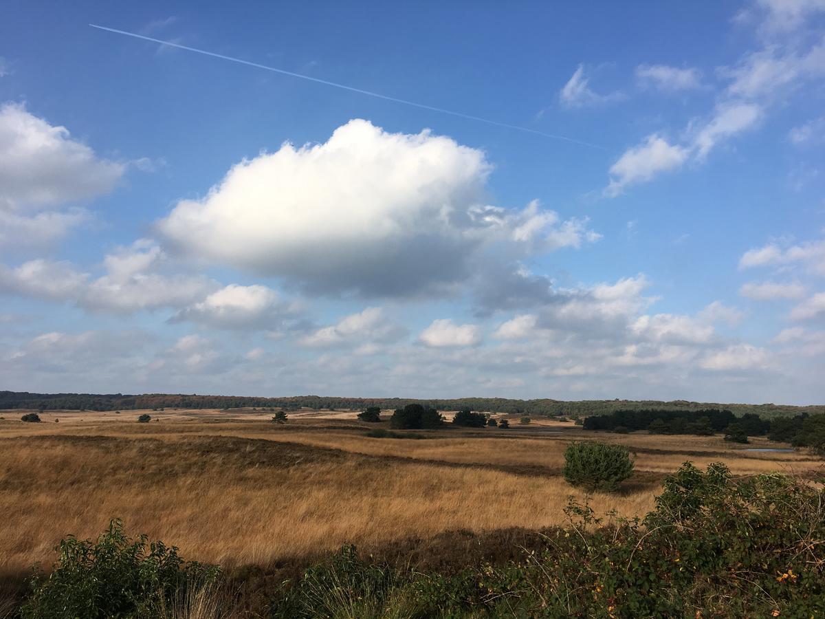 De Slaapfabriek Vakantiehuis En Trainingslocatie Teuge エクステリア 写真